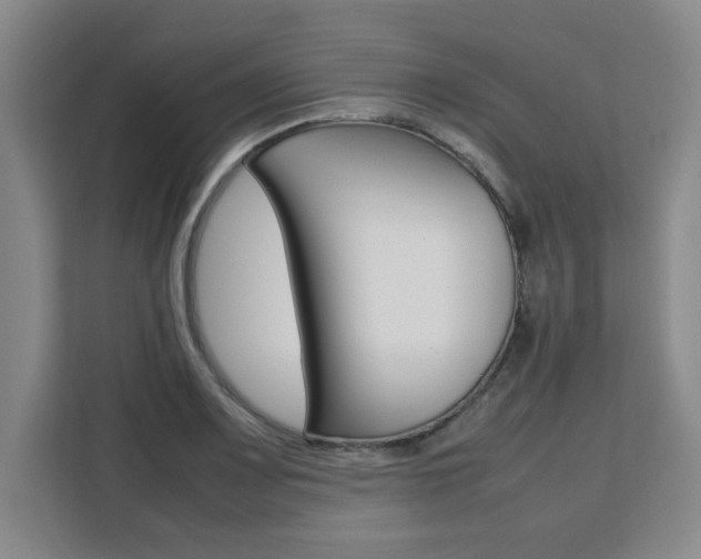X0000111531083200907141252