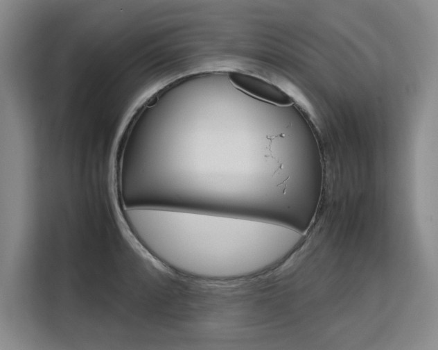 X0000111531088200907141252