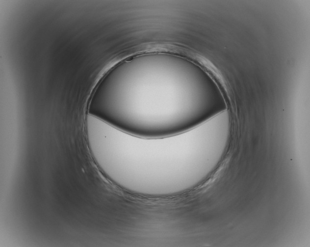 X0000111531089200907141252