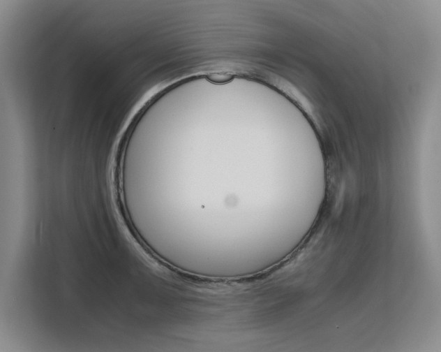 X0000111531091200907141252