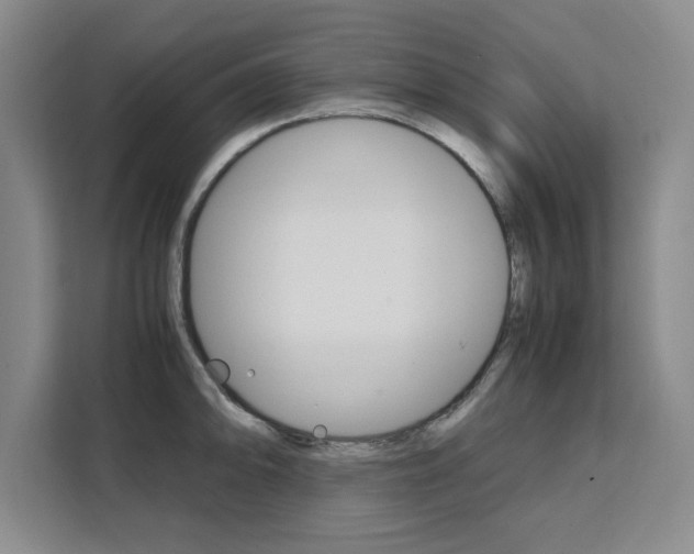 X0000111531094200907141251