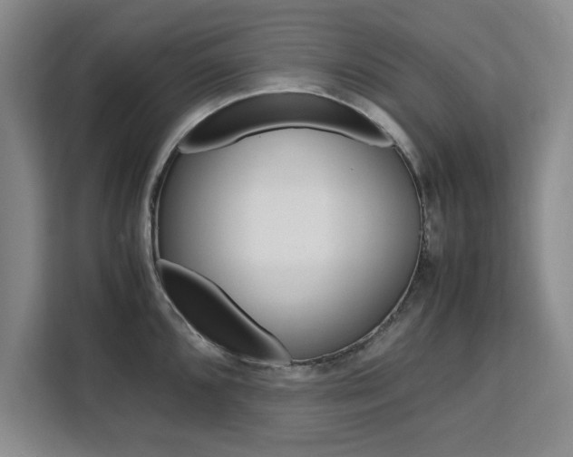 X0000111531096200907141251