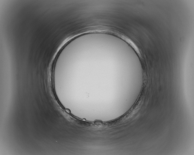 X0000111531099200907141251