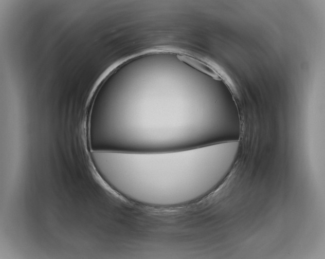 X0000111531100200907141251