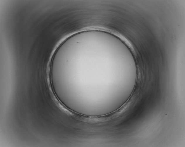 X0000111531102200907141251