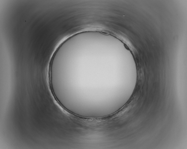 X0000111531103200907141251