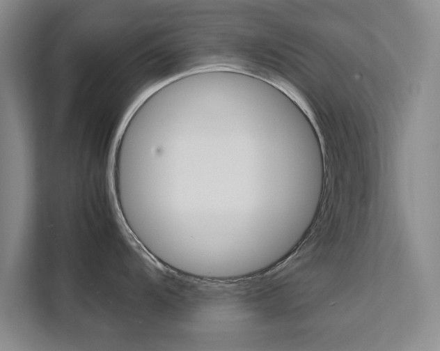 X0000111531104200907141251
