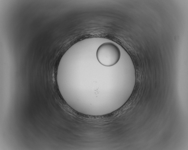 X0000111531106200907141251