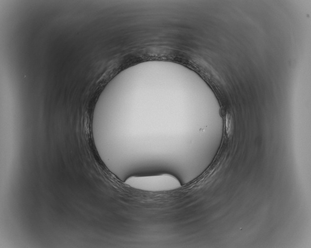X0000111531107200907141251