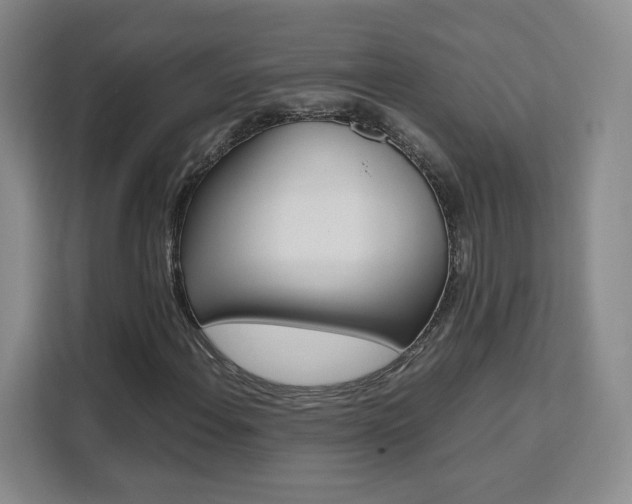 X0000111531108200907141251
