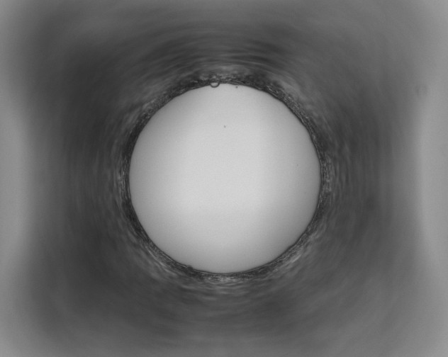 X0000111531109200907141251