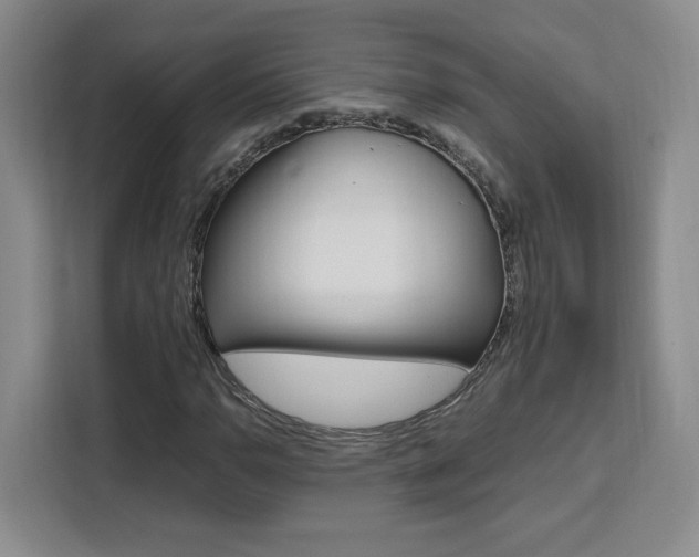 X0000111531110200907141251