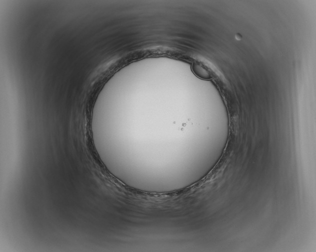 X0000111531111200907141251