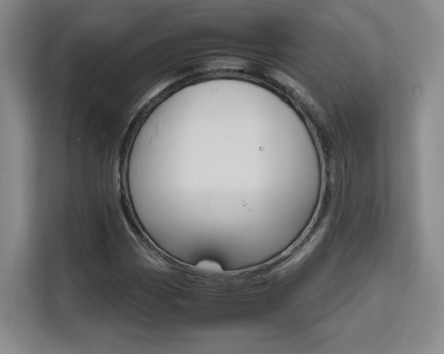X0000111531113200907141251