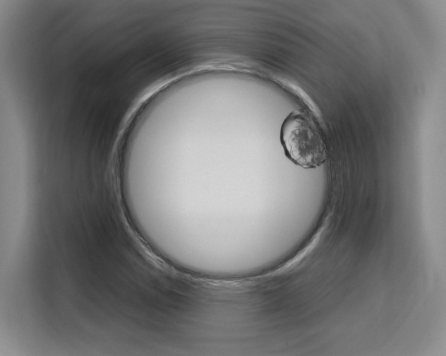 X0000111531114200907141251