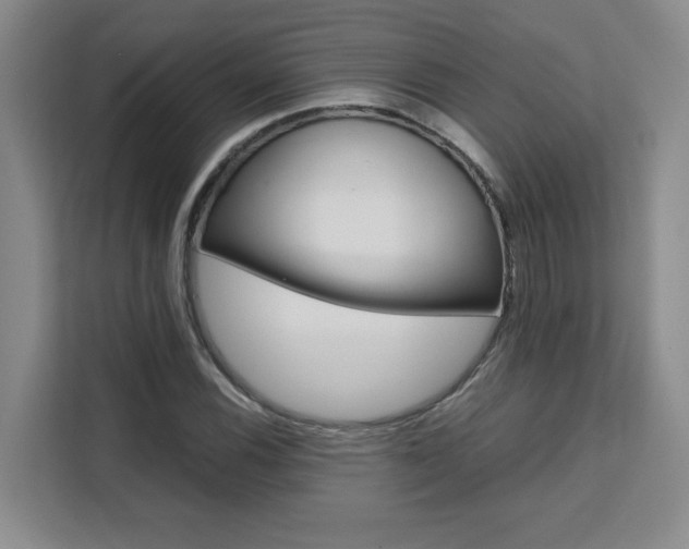 X0000111531116200907141251
