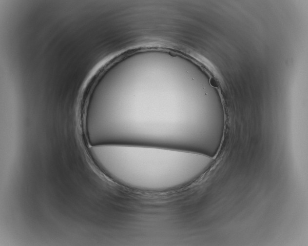 X0000111531120200907141251