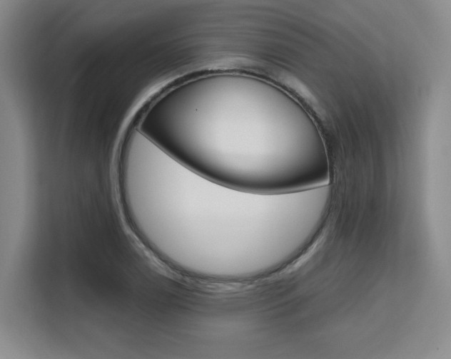 X0000111531122200907141251