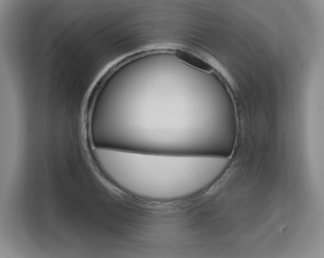 X0000111531124200907141251