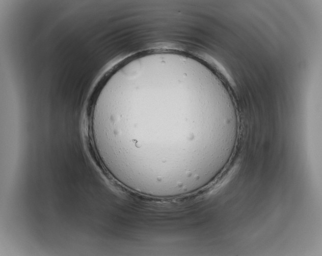 X0000111531125200907141251