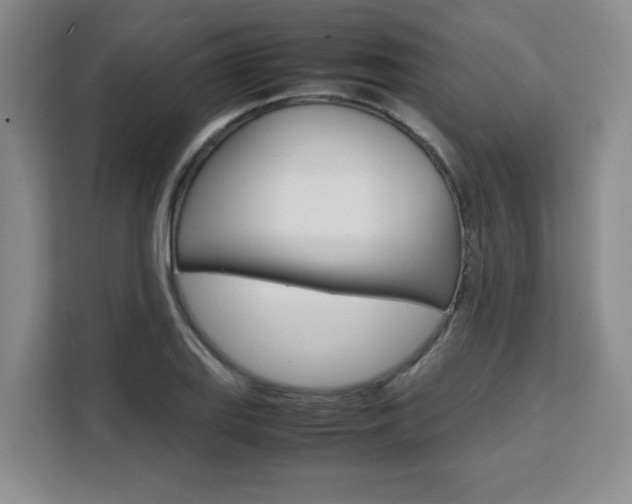 X0000111531127200907141251