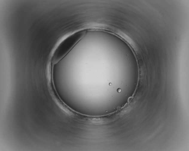 X0000111531128200907141251