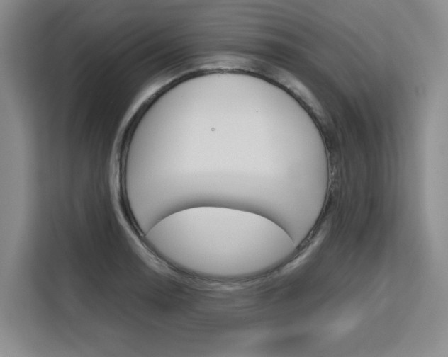 X0000111531130200907141251