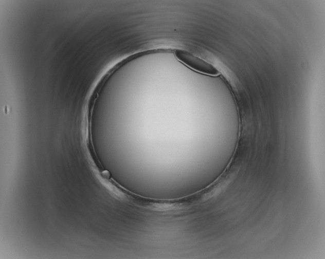 X0000111531132200907141251