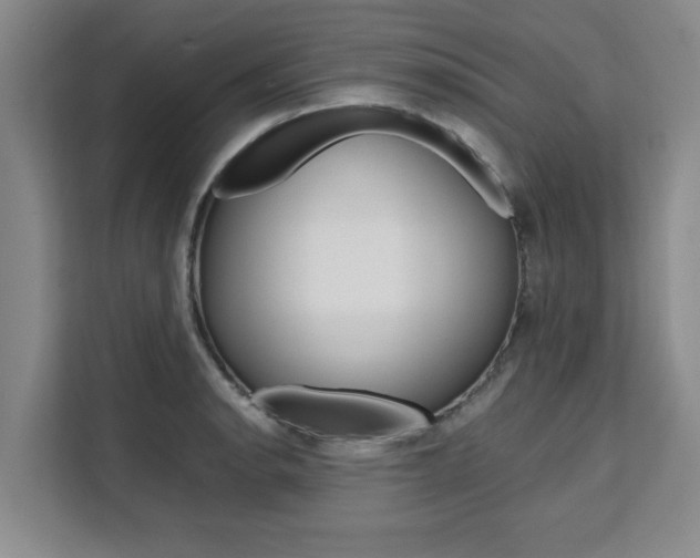 X0000111531134200907141251