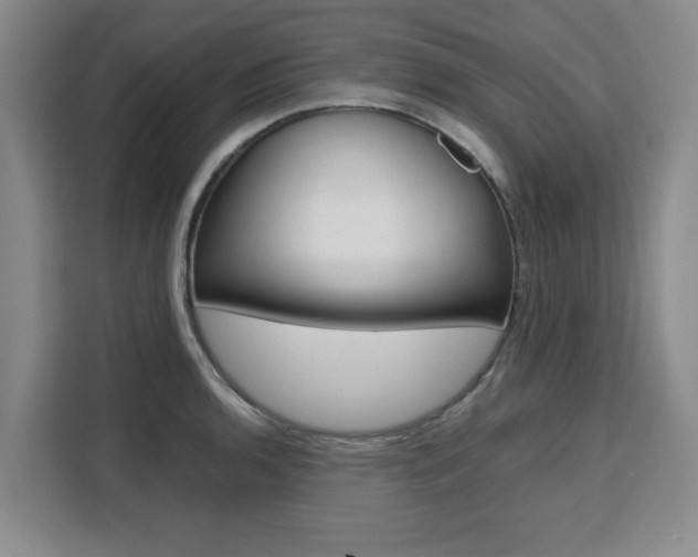 X0000111531136200907141251