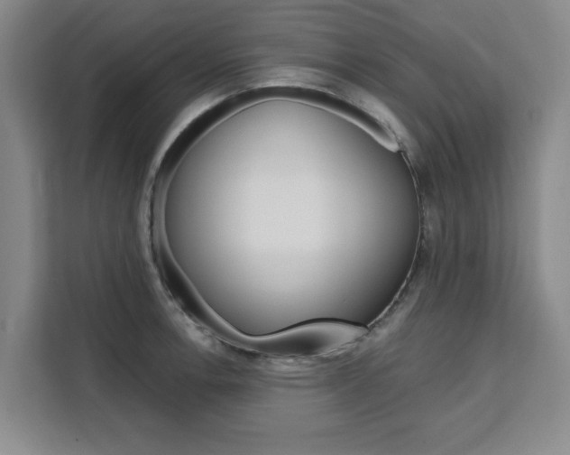 X0000111531138200907141251