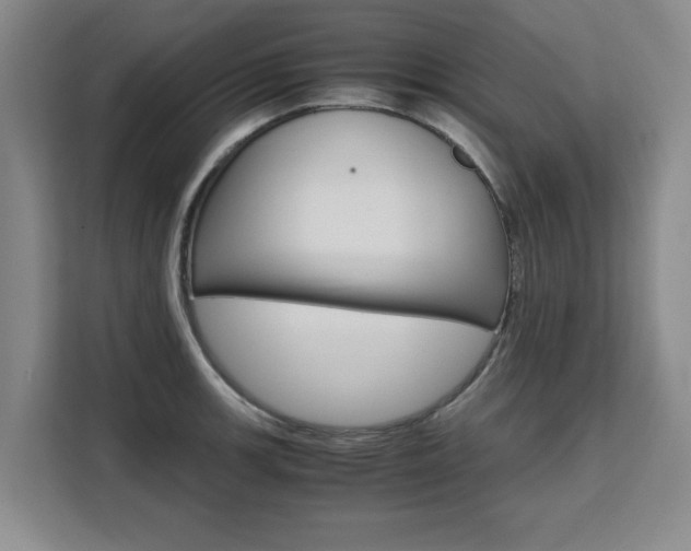 X0000111531139200907141251