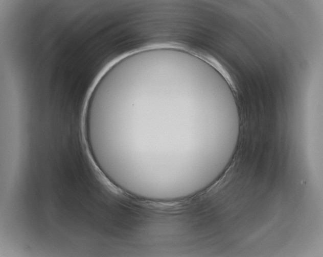 X0000111531140200907141251