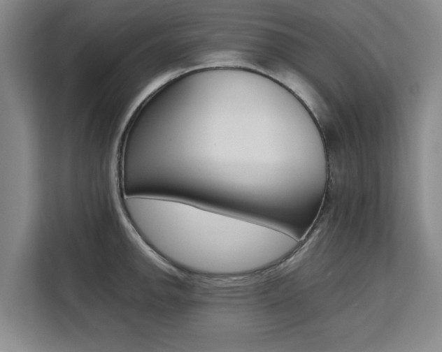 X0000111531142200907141251