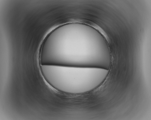 X0000111531143200907141251