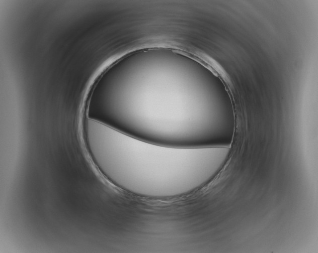 X0000111531144200907141251