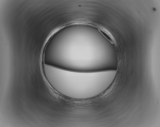 X0000111531146200907141251