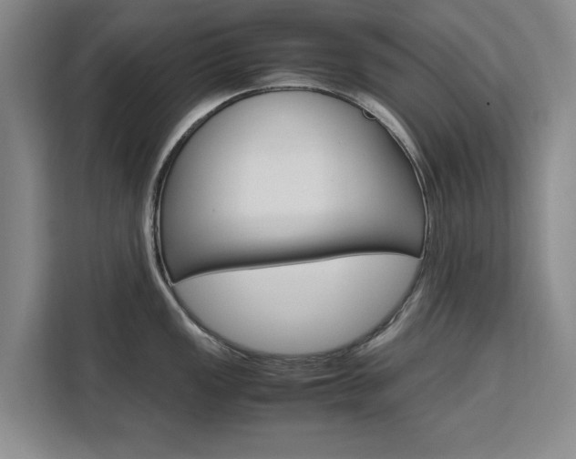 X0000111531149200907141251