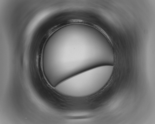 X0000111531151200907141251