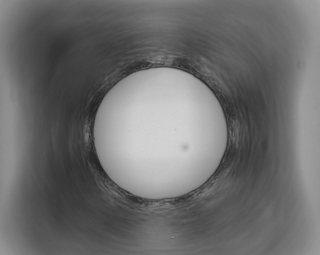 X0000111531154200907141251