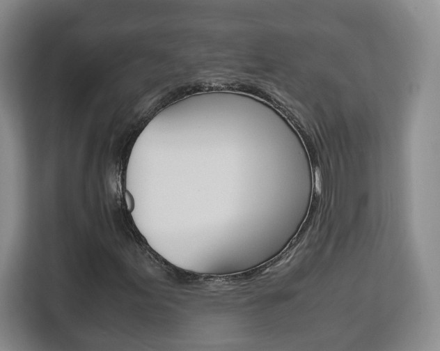 X0000111531155200907141251