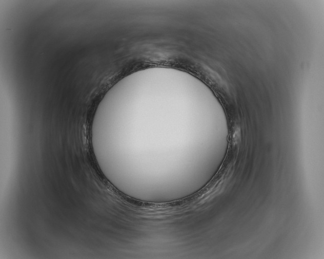 X0000111531156200907141251