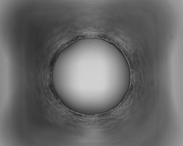 X0000111531157200907141251