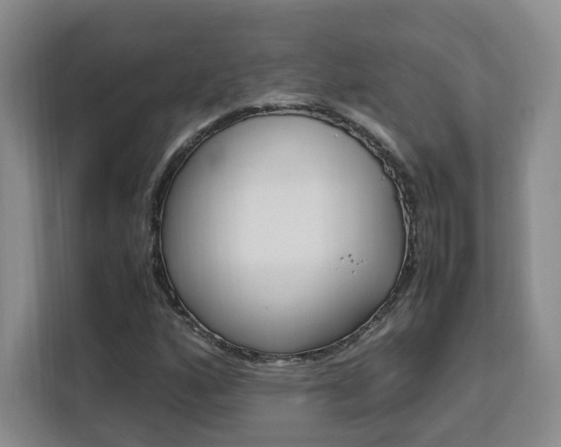 X0000111531160200907141251