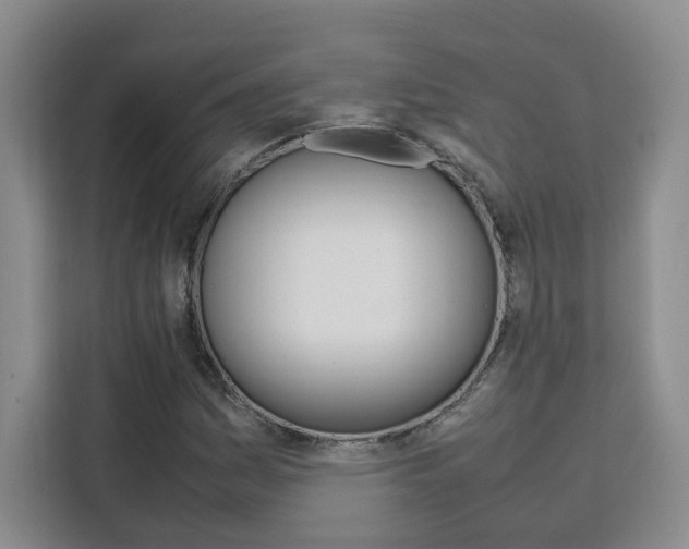 X0000111531161200907141251