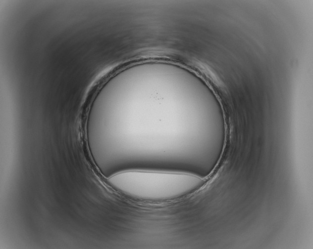 X0000111531164200907141251