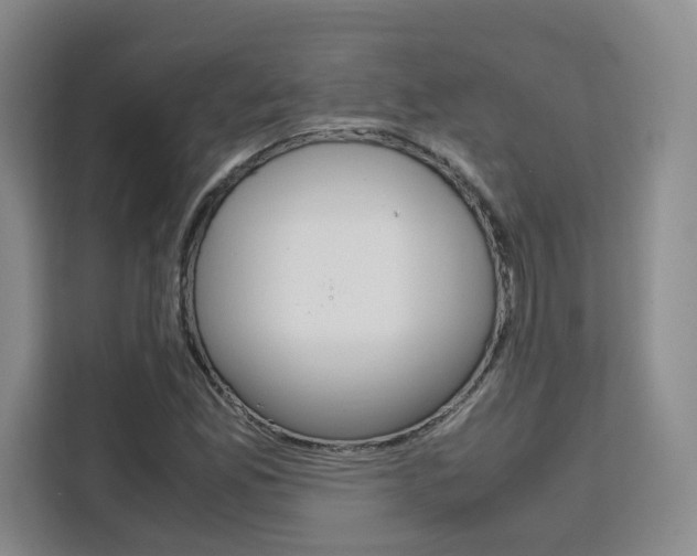 X0000111531165200907141251