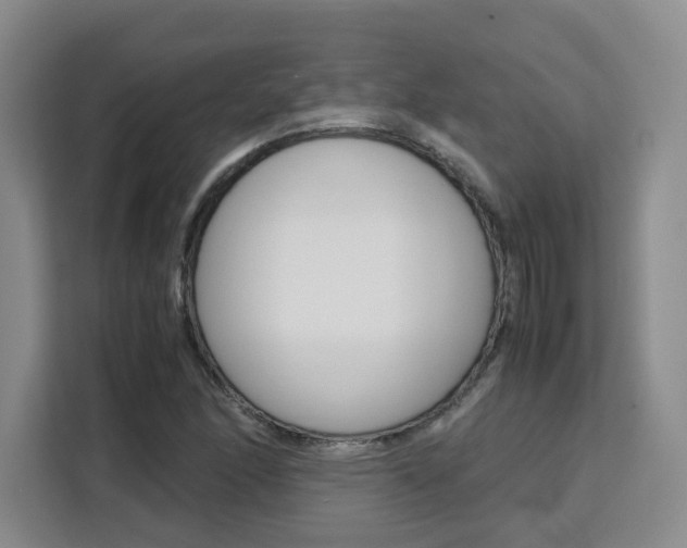 X0000111531166200907141251