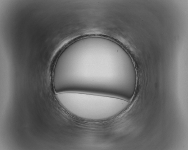 X0000111531167200907141251