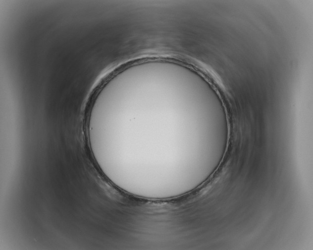 X0000111531168200907141251